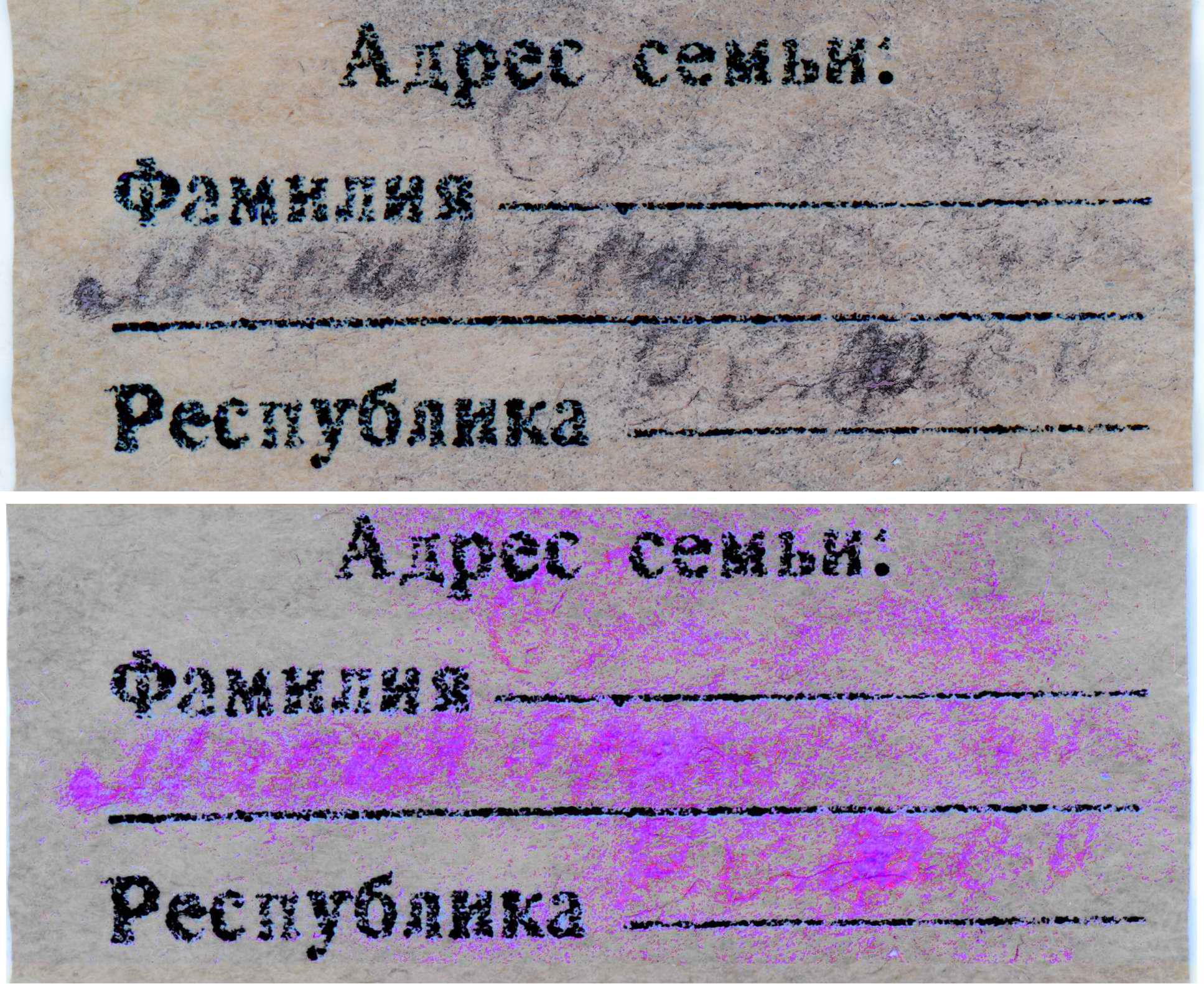 Медальон. Евтушенко Александр Алексеевич. 1900 г.р. Алтайский край.