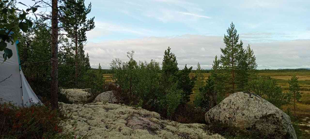 «Крылья Татарстана». Мурманская область - Татарстан. 2025 г. «Крылья Татарстана». Мурманская область - Татарстан. 2025 г.