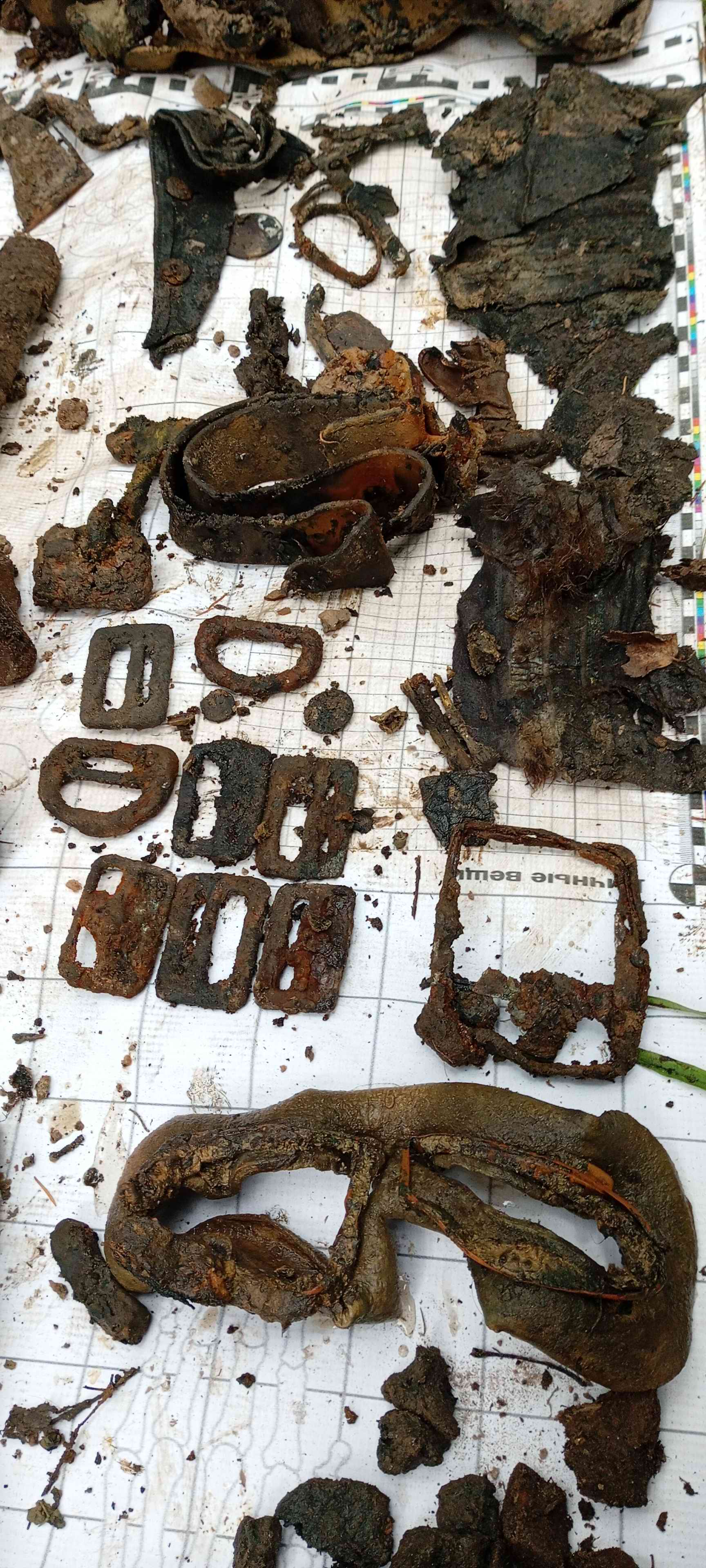 «Крылья Татарстана». Татарстан - Ленинградская область. 2025 г. «Крылья Татарстана». Татарстан - Ленинградская область. 2025 г.