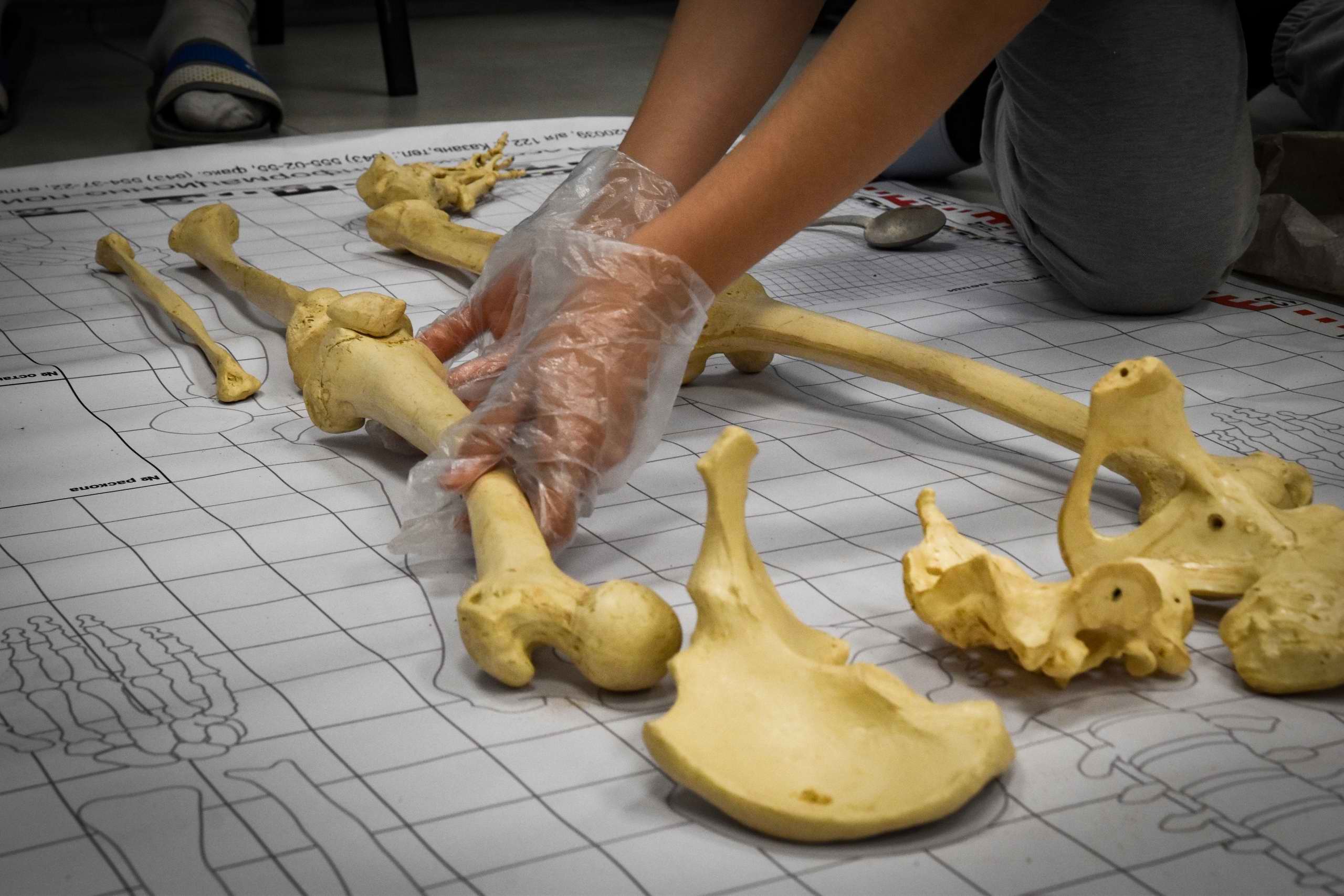 ����� ��������� ��������� ���������� �����. �.������. 2025 �.