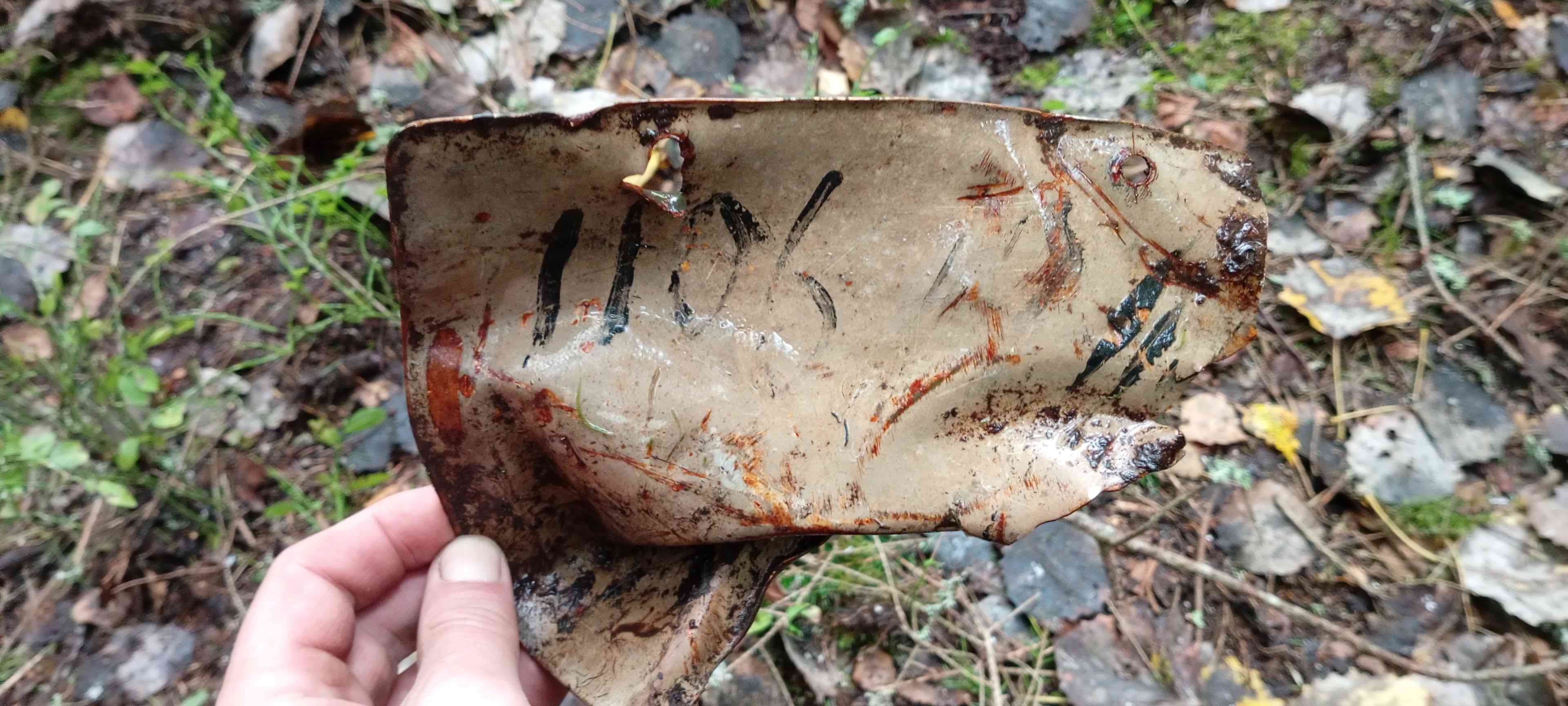 Поисковики установили экипаж Героя Советского Союза Гречишникова.
Киришский район Ленинградской области - Республика Татарстан. 2025 г. Поисковики установили экипаж Героя Советского Союза Гречишникова.
Киришский район Ленинградской области - Республика Татарстан. 2025 г.