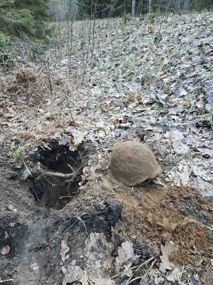 ������������� ����� ������ � ���������� ��������. 2026 �. ��������� - ���������� ��������.