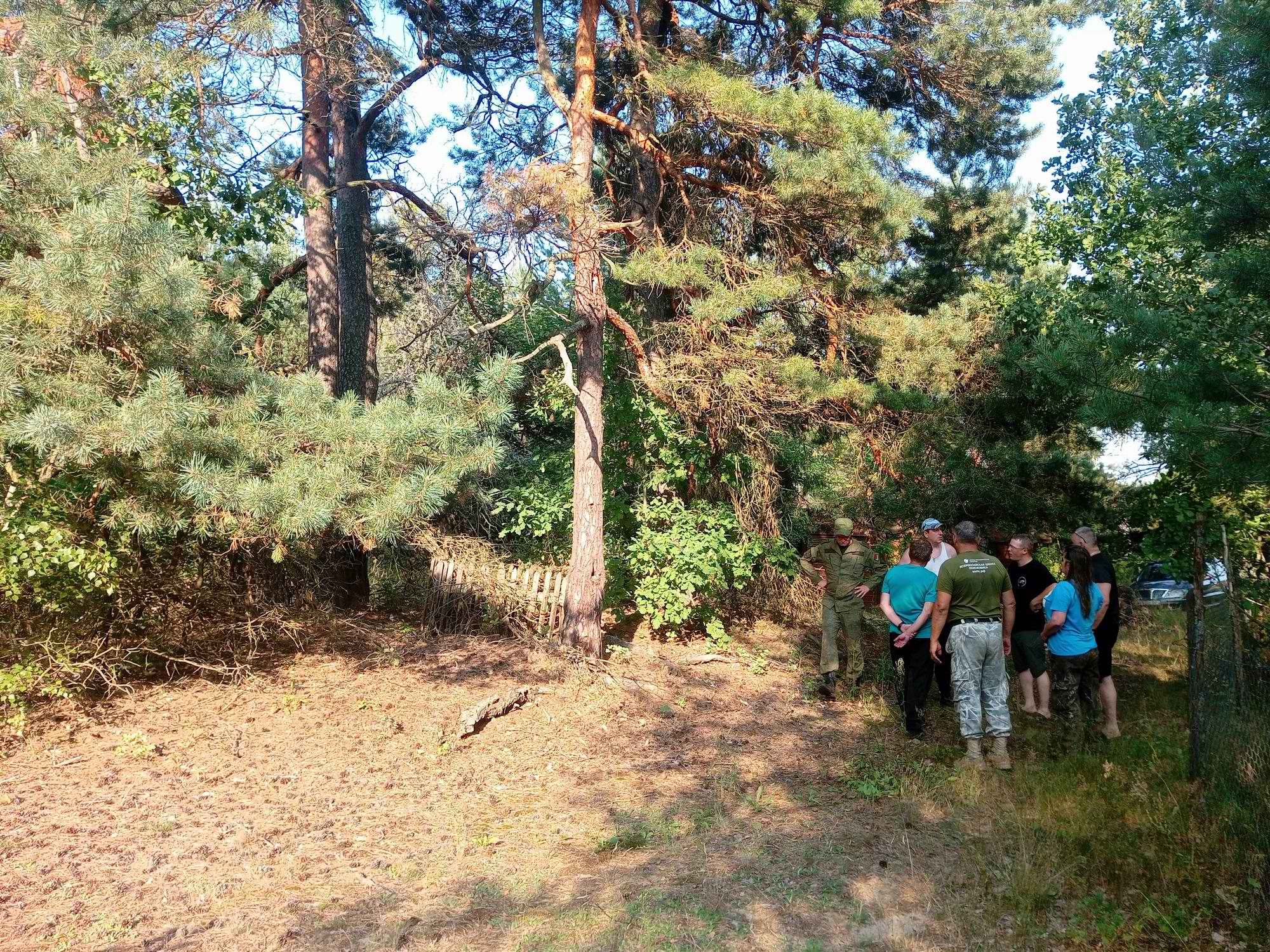 Международная Вахта Памяти в Республике Беларусь. 2026 г. Татарстан - Республика Беларусь. Международная Вахта Памяти в Республике Беларусь. 2026 г. Татарстан - Республика Беларусь.